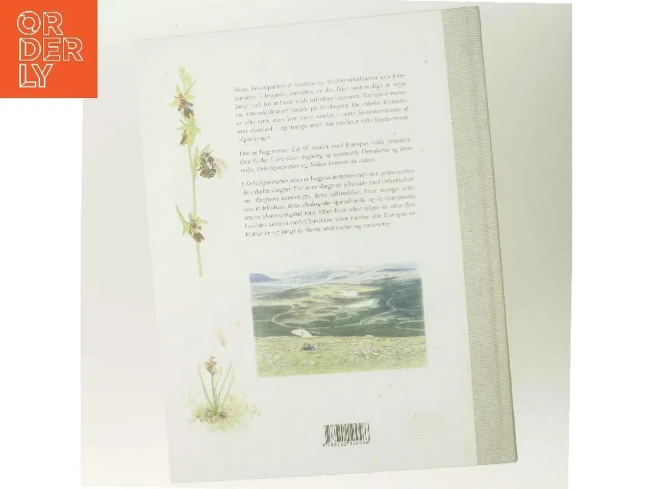 Billede 3 - Orkidéer i Europa : smukke, specielle og sårbare af Henrik Ærenlund Pedersen (Bog)