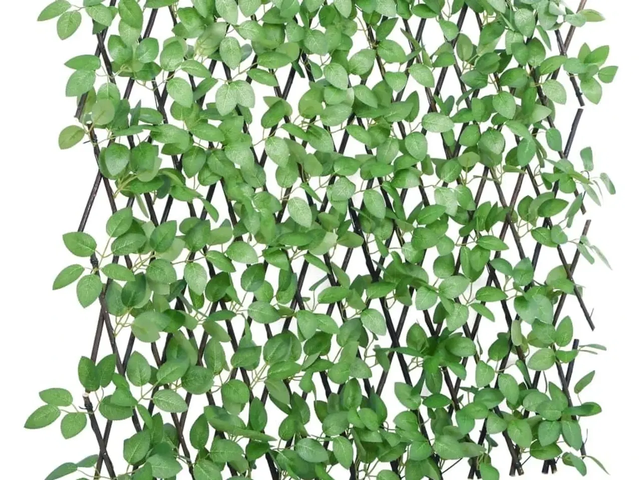Billede 1 - Espalier med kunstig vedbend 180x65 cm udvidelig grøn