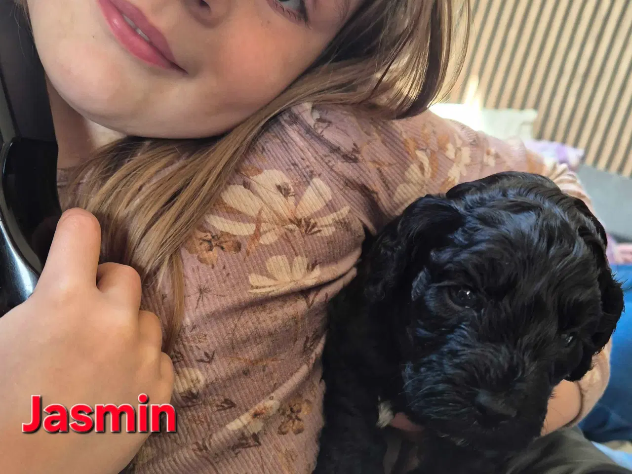 Billede 5 - Uimodstålige søde Mine cockapoo 
