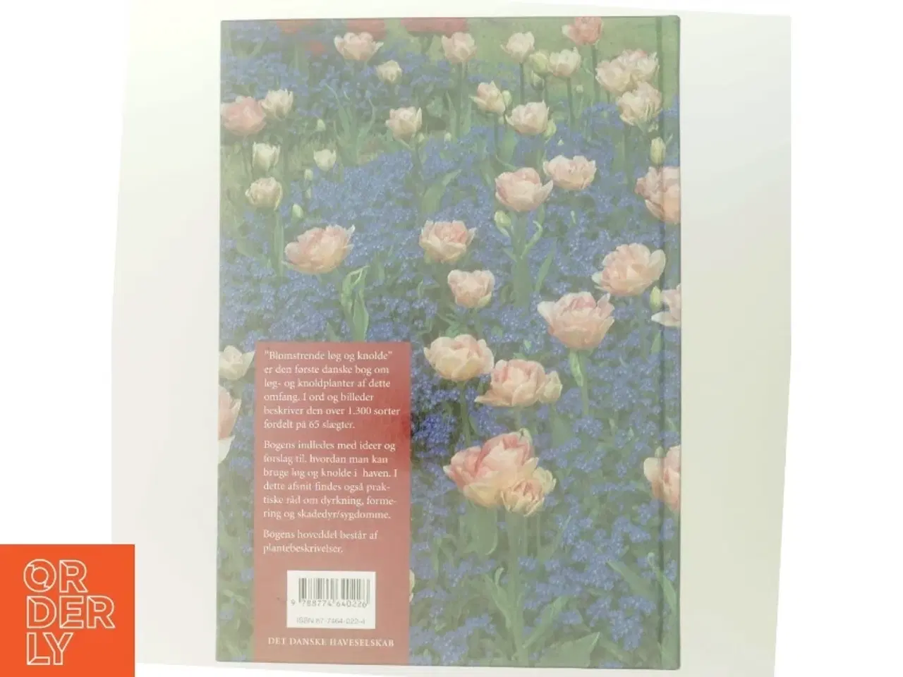 Billede 3 - Blomstrende løg og knolde af Else Als (Bog)