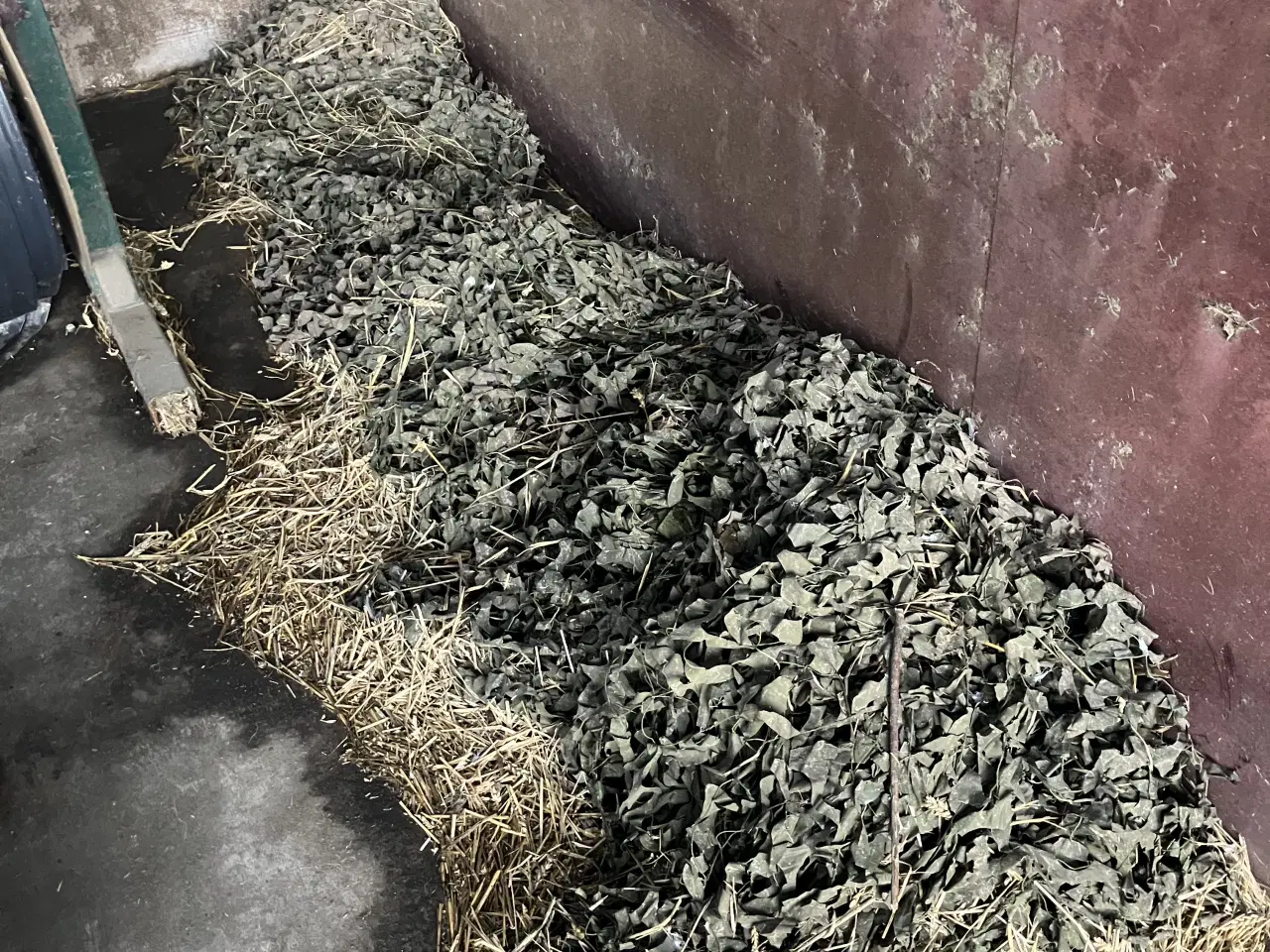 Billede 2 - Sløringensnet