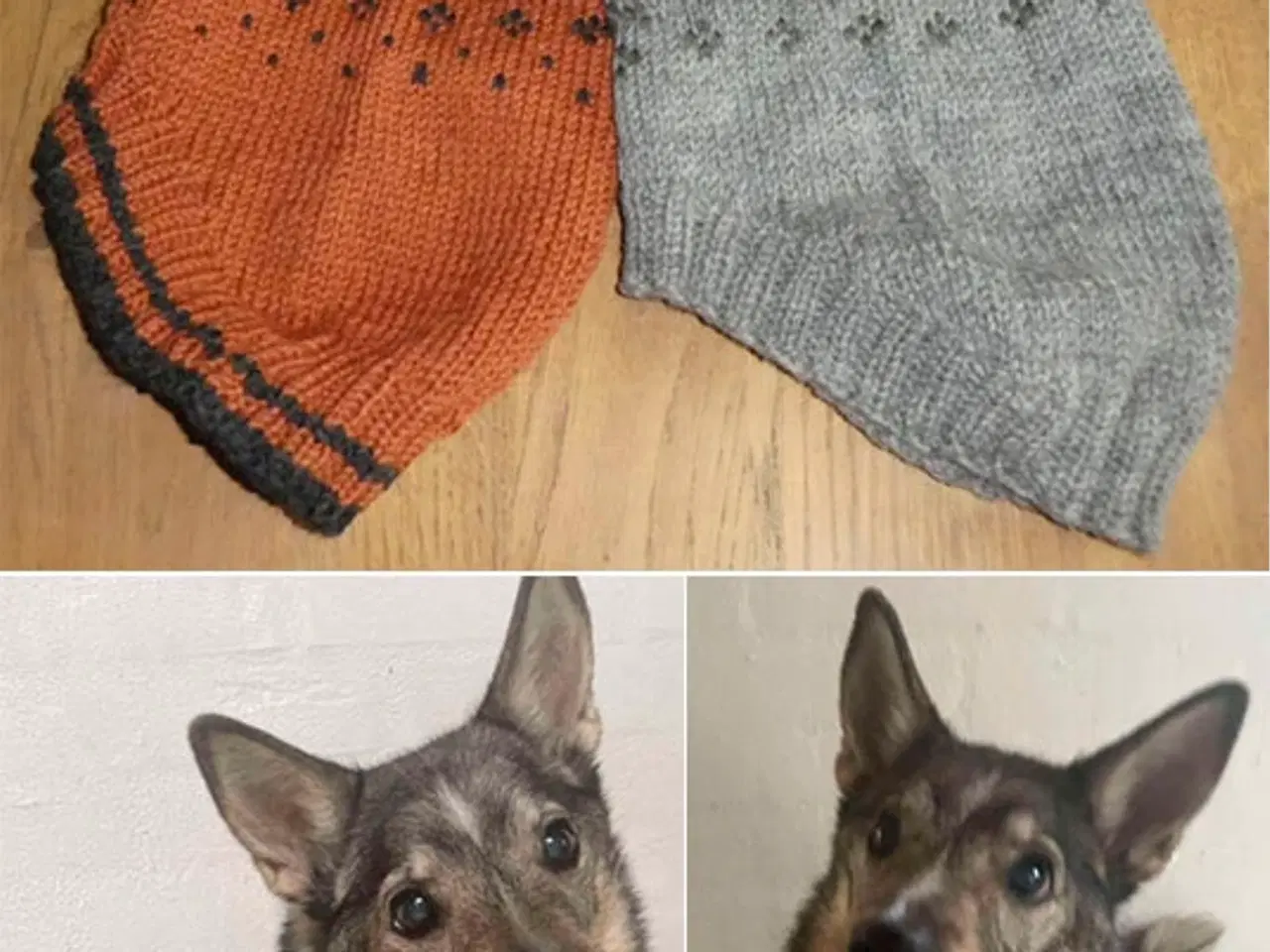Billede 1 - Håndstrikkede hundedækkener