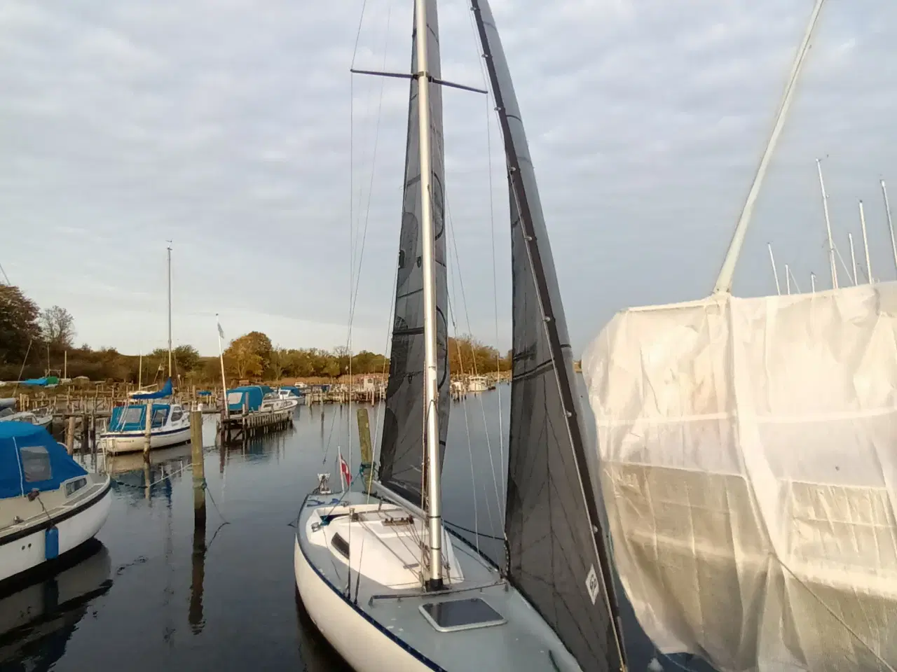 Billede 1 - Carbon Sejl safir 10m 