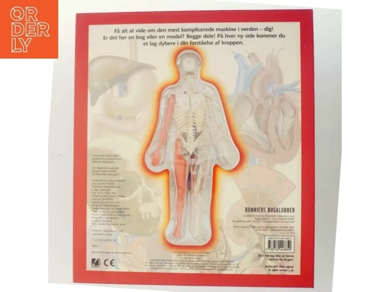 Billede 3 - På opdagelse i din krop af Luann Colombo (Bog)