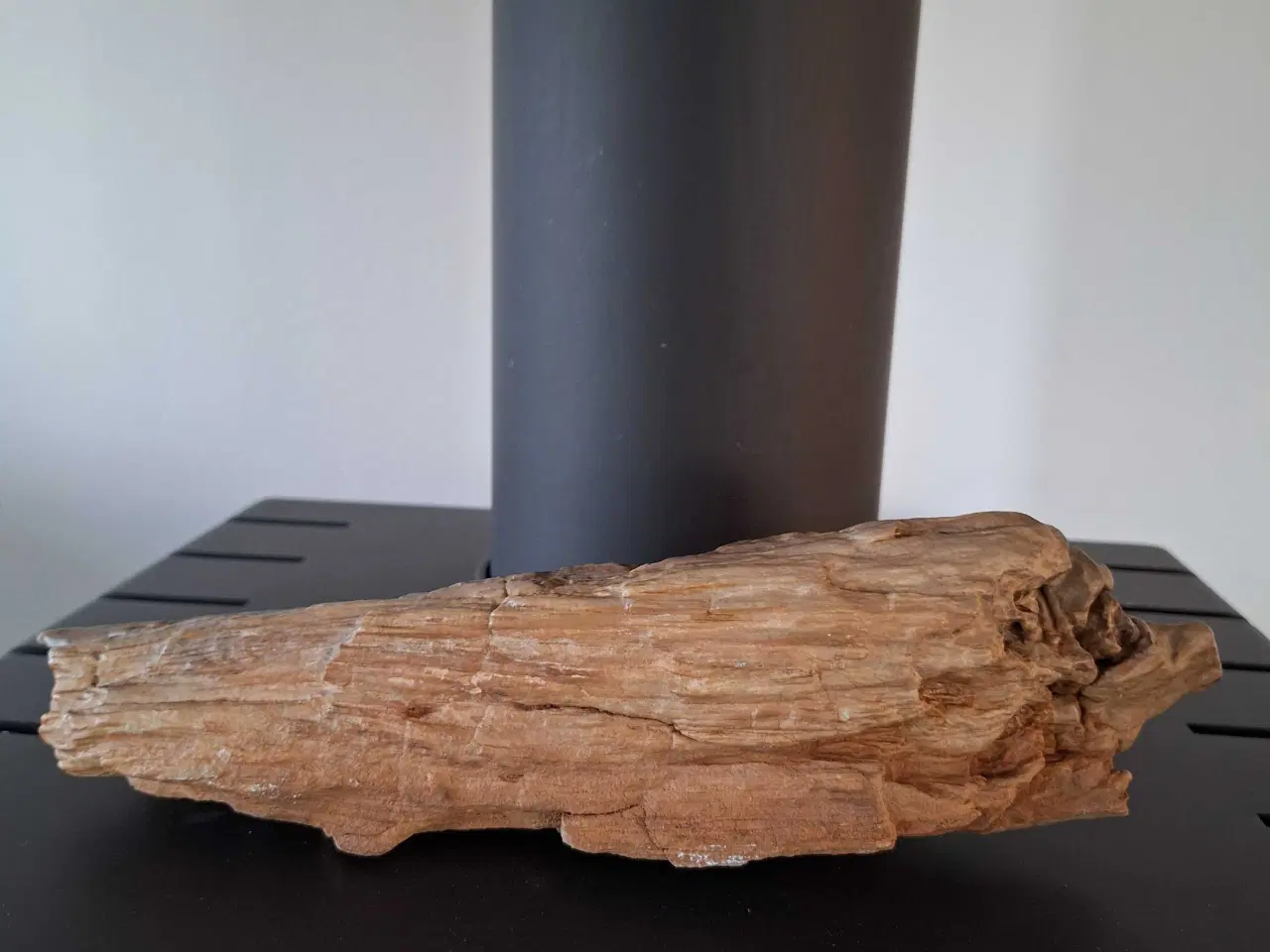 Billede 2 - Forstenet træ