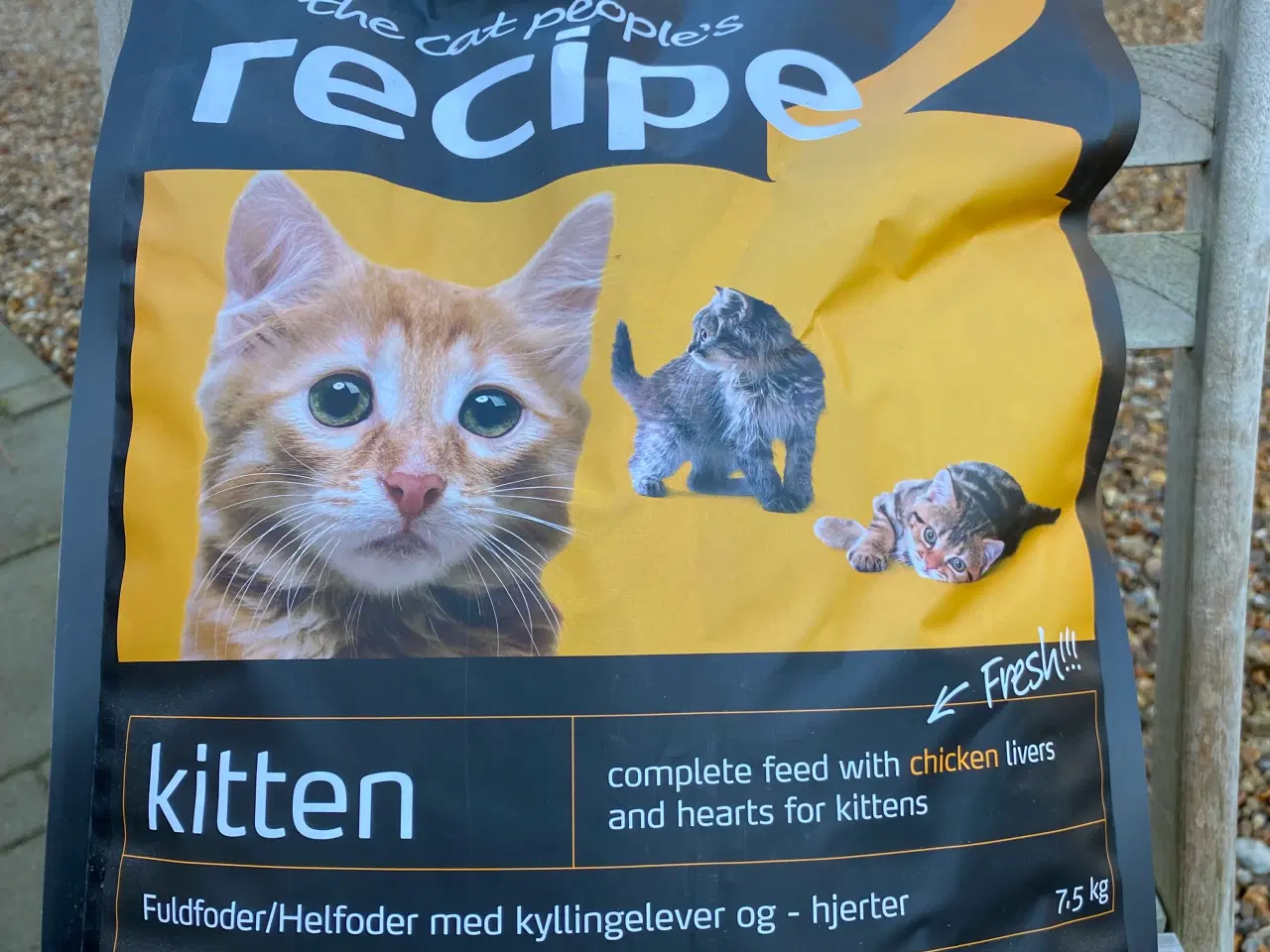 Billede 2 - Kattefoder ( til killinger)