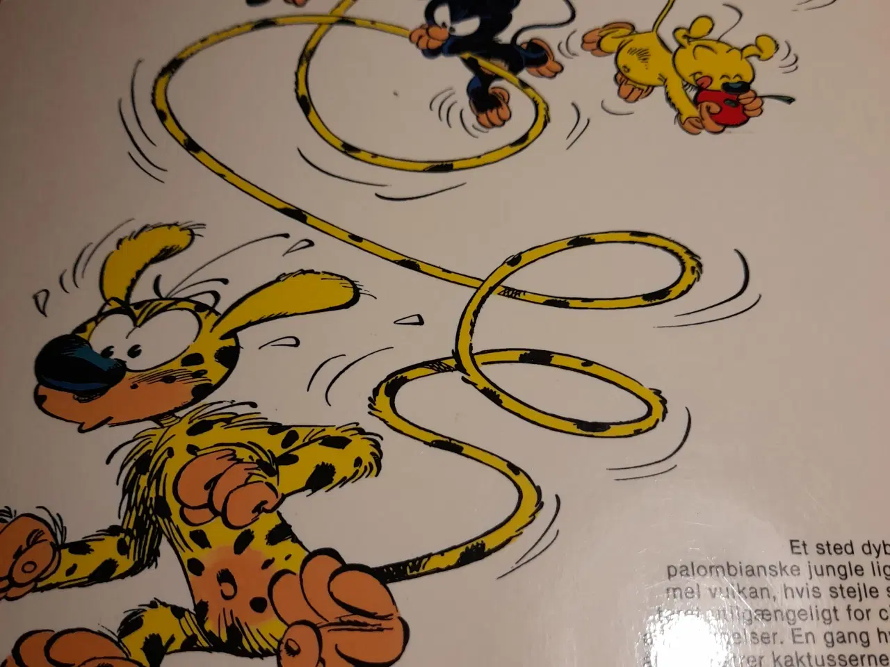 Billede 3 - De tre små Spiriller.