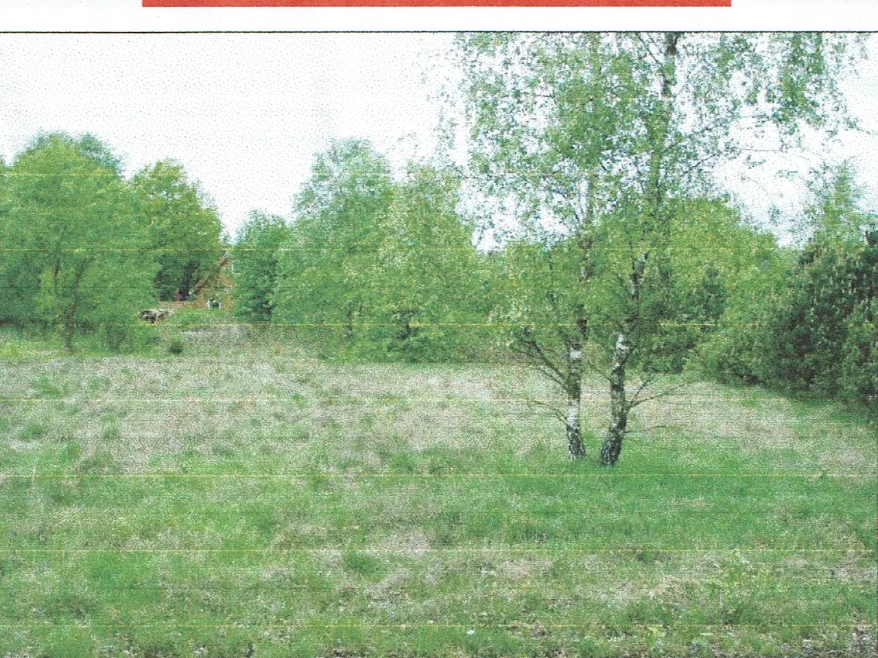 Billede 1 - sommerhus grund i Vesterlund ved give