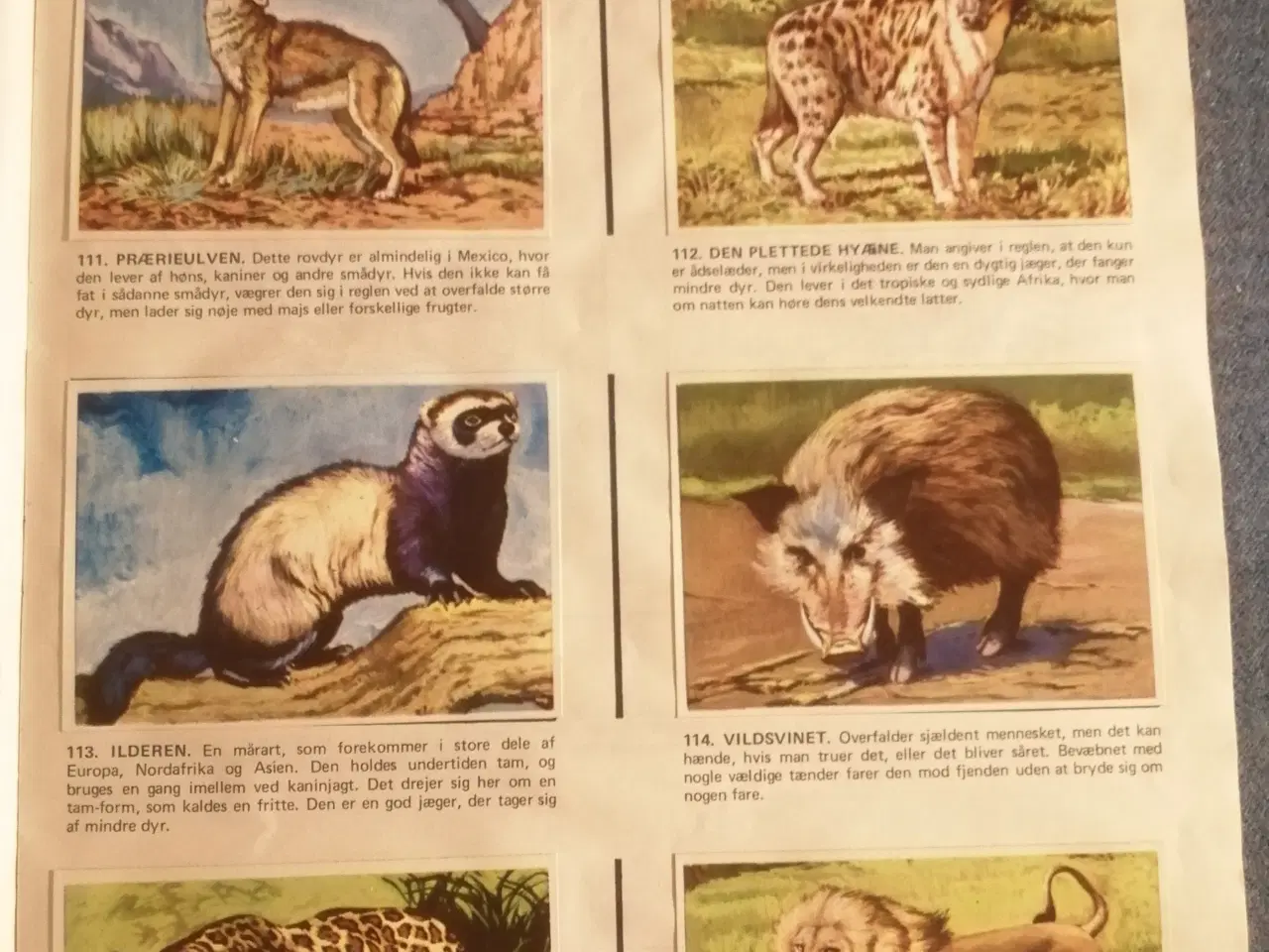 Billede 3 - Naturens Vidundere Samlealbum komplet