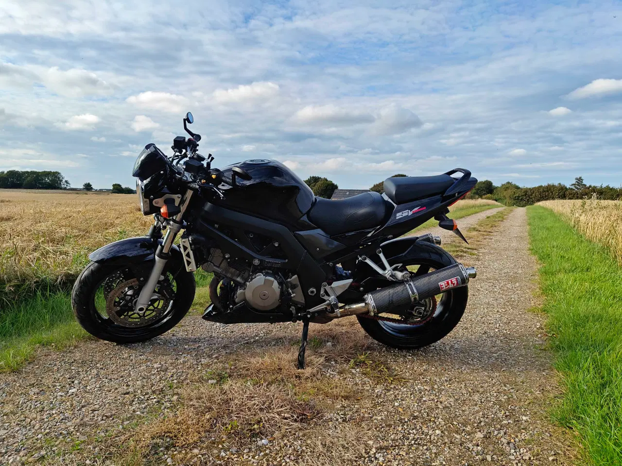 Billede 3 - Suzuki SV1000