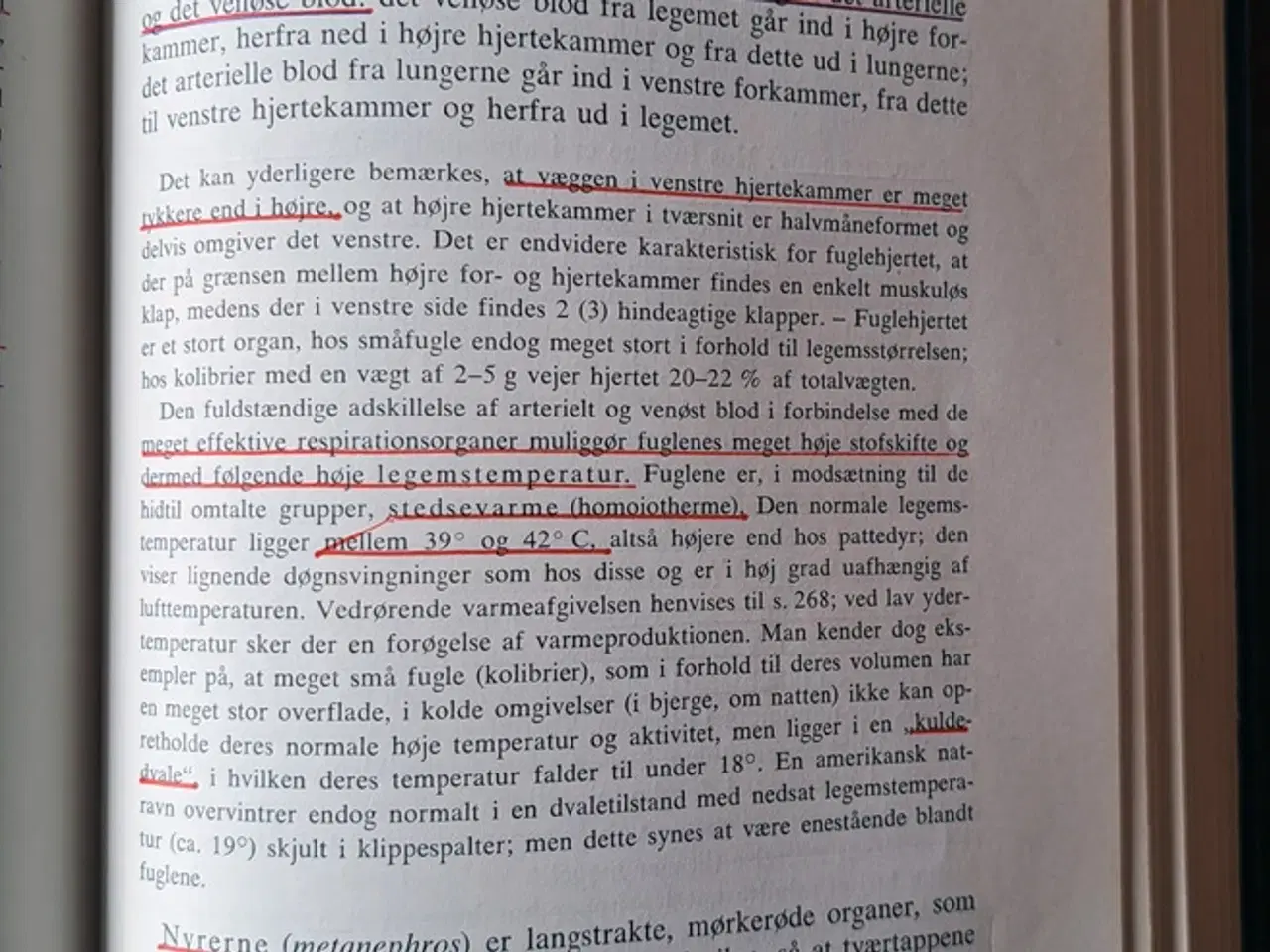 Billede 7 - Boas & Thomsen: Zoologi, vol. 1, 2 og 3