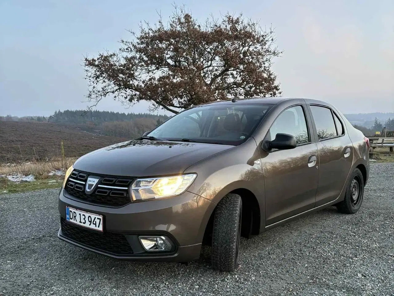 Billede 1 - Dacia Logan Stepway 0,9 TCe 90 MCV