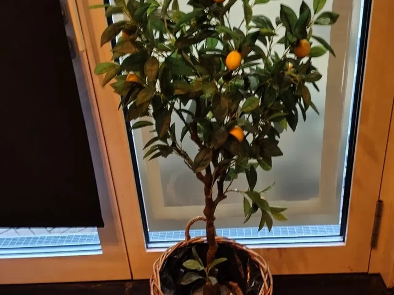 Billede 1 - Kunstig citrusplante.