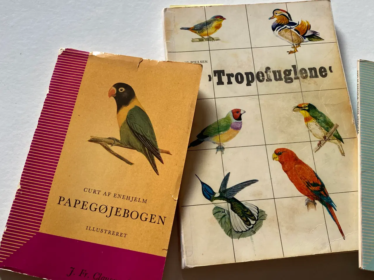 Billede 2 - Fuglebøger 