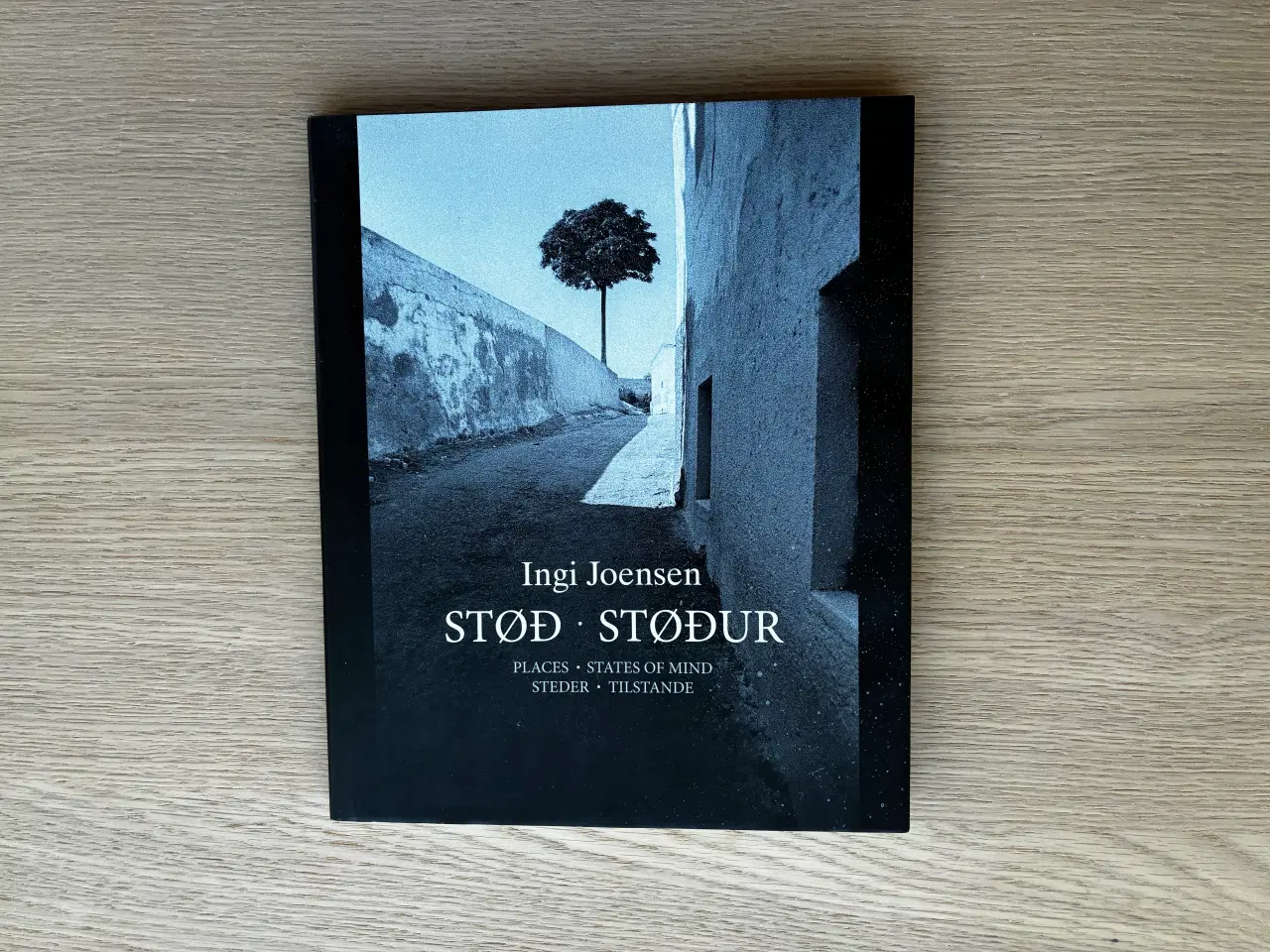 Billede 2 - Ingi Joensen   -  STØD  -  Udstilling