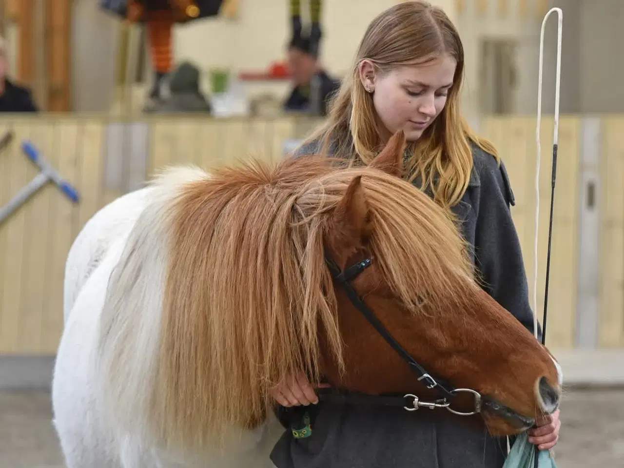 Billede 4 - Jule tilbud