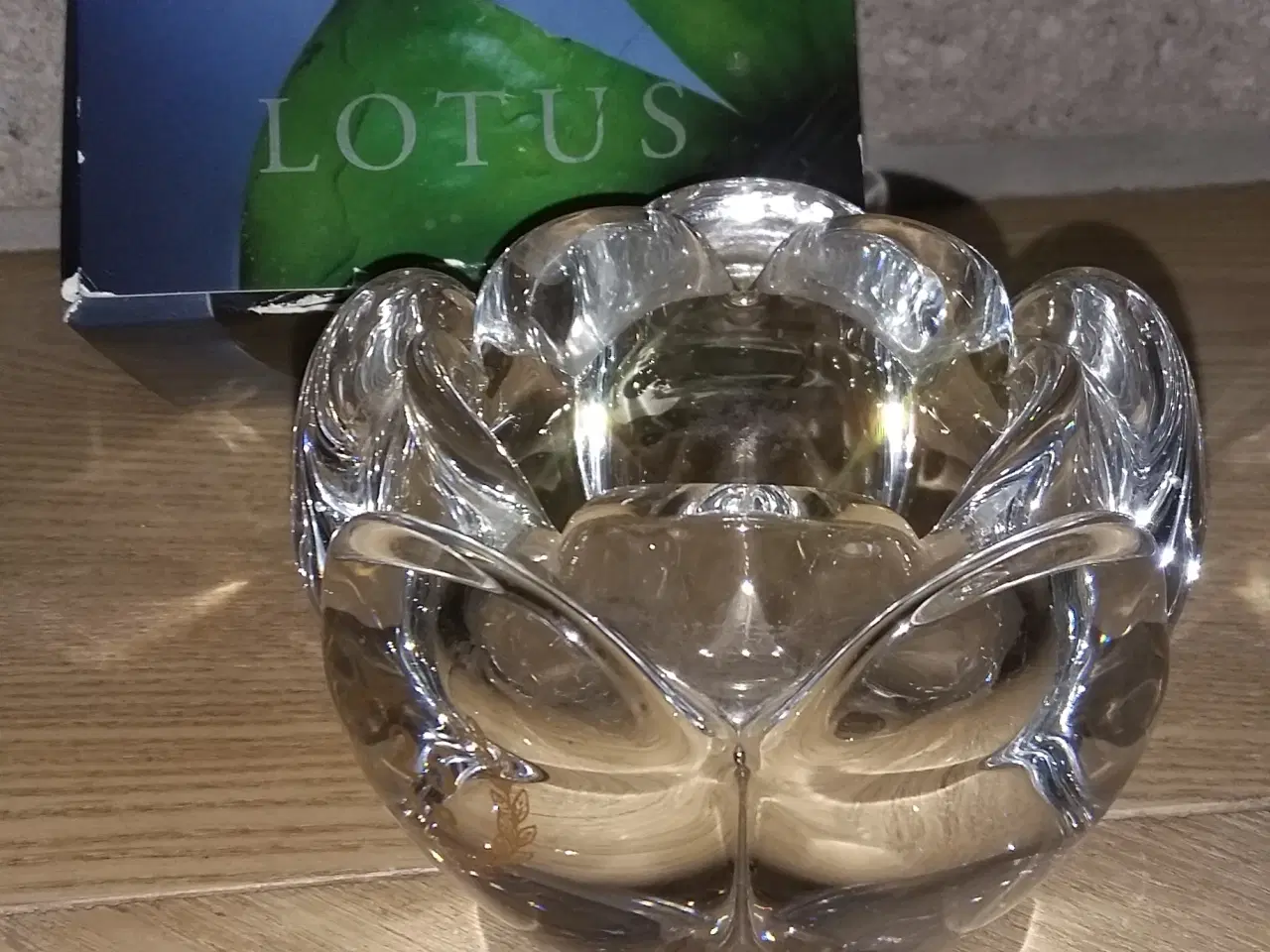 Billede 10 - Hunde premier Pyreneer