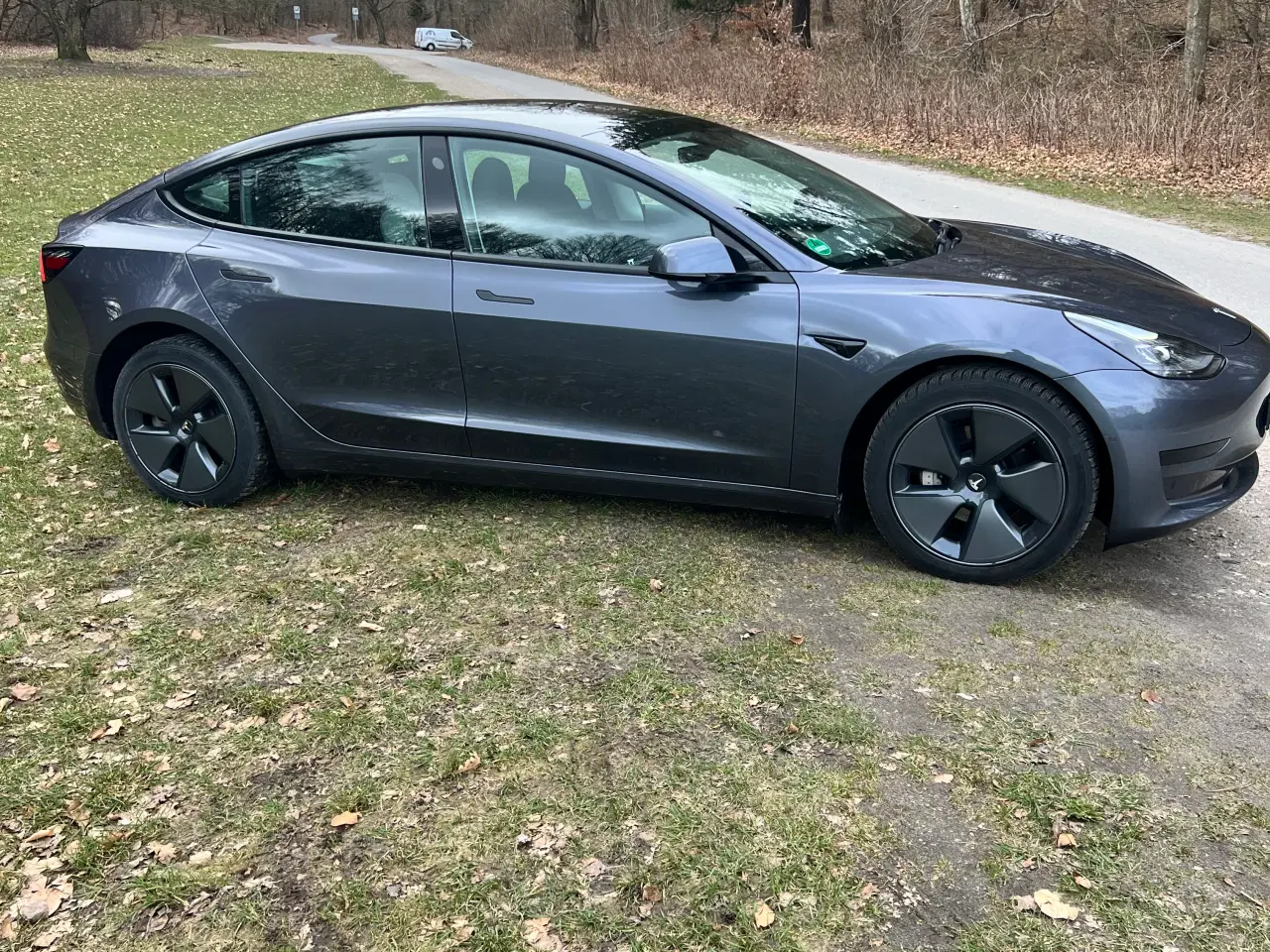 Billede 1 - Tesla model 3 standard range +