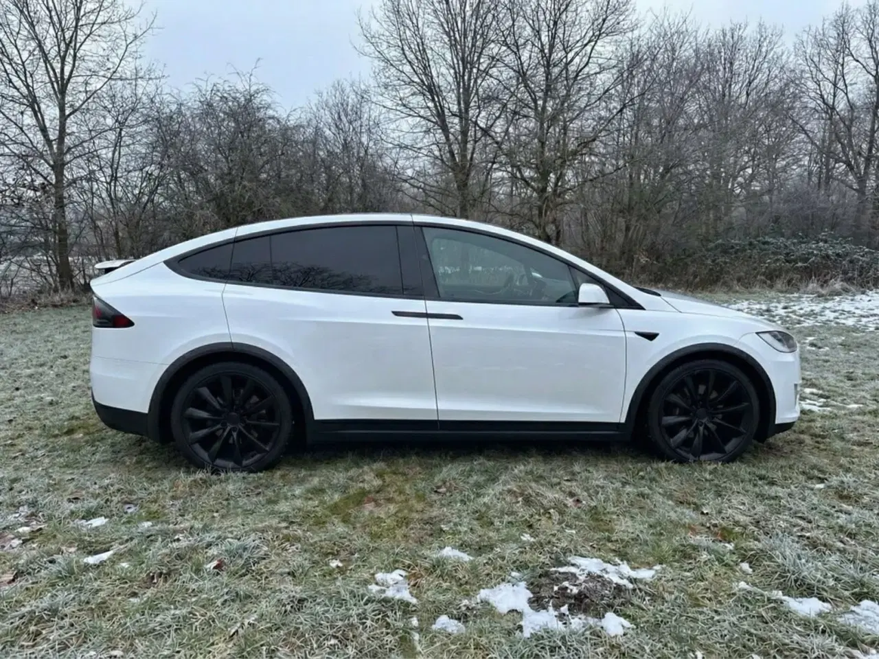 Billede 1 - Tesla Model X  Long Range AWD