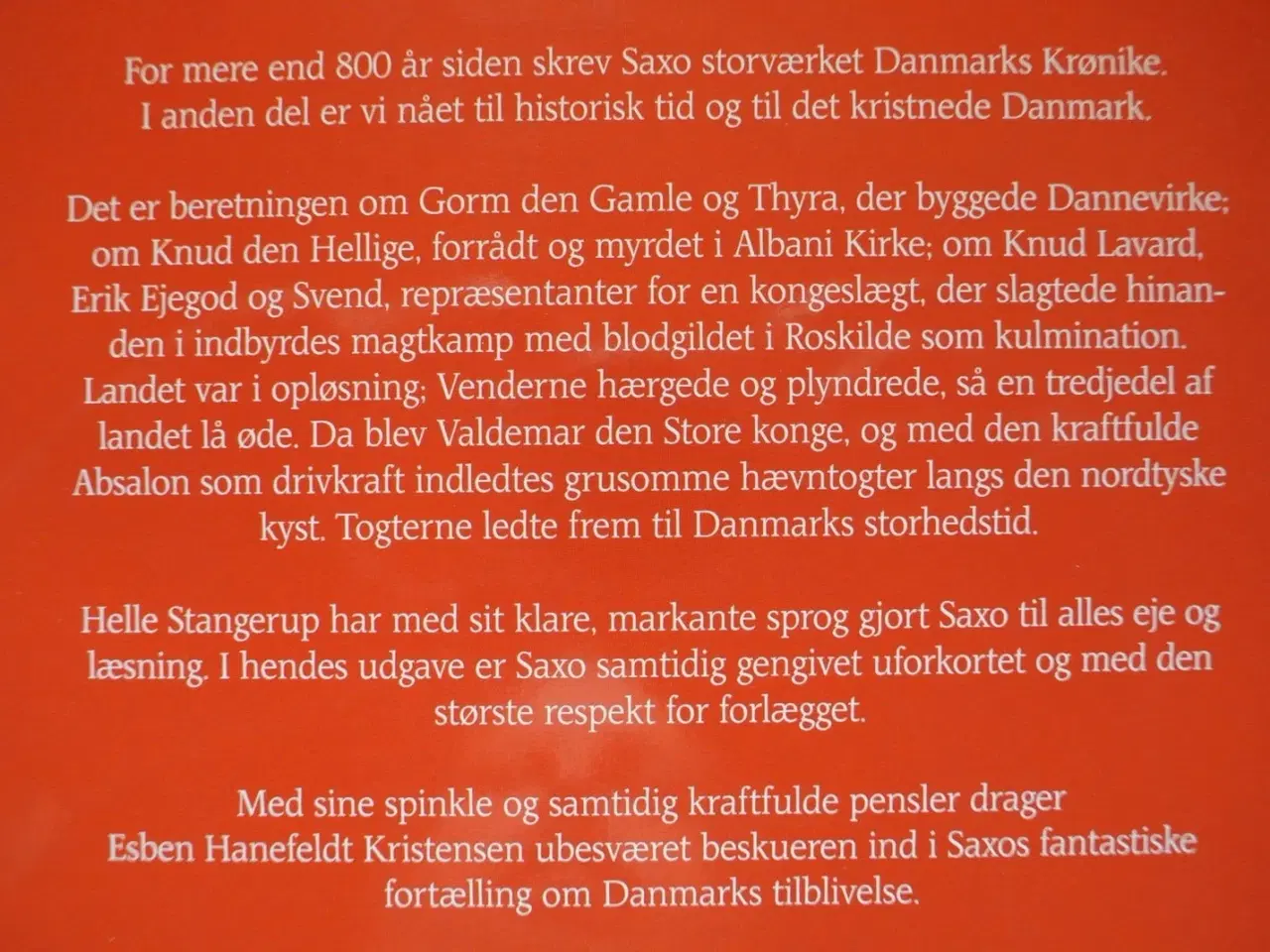 Billede 4 - saxo danmarkskrøniken 1-2, af helle stangerup. ill