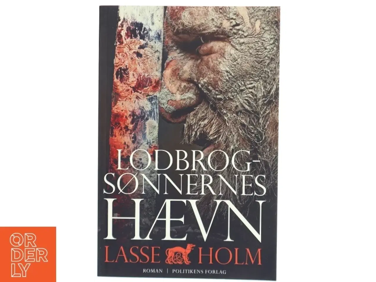 Billede 1 - Lodbrogsønnernes hævn : roman af Lasse Holm (f. 1968) (Bog)
