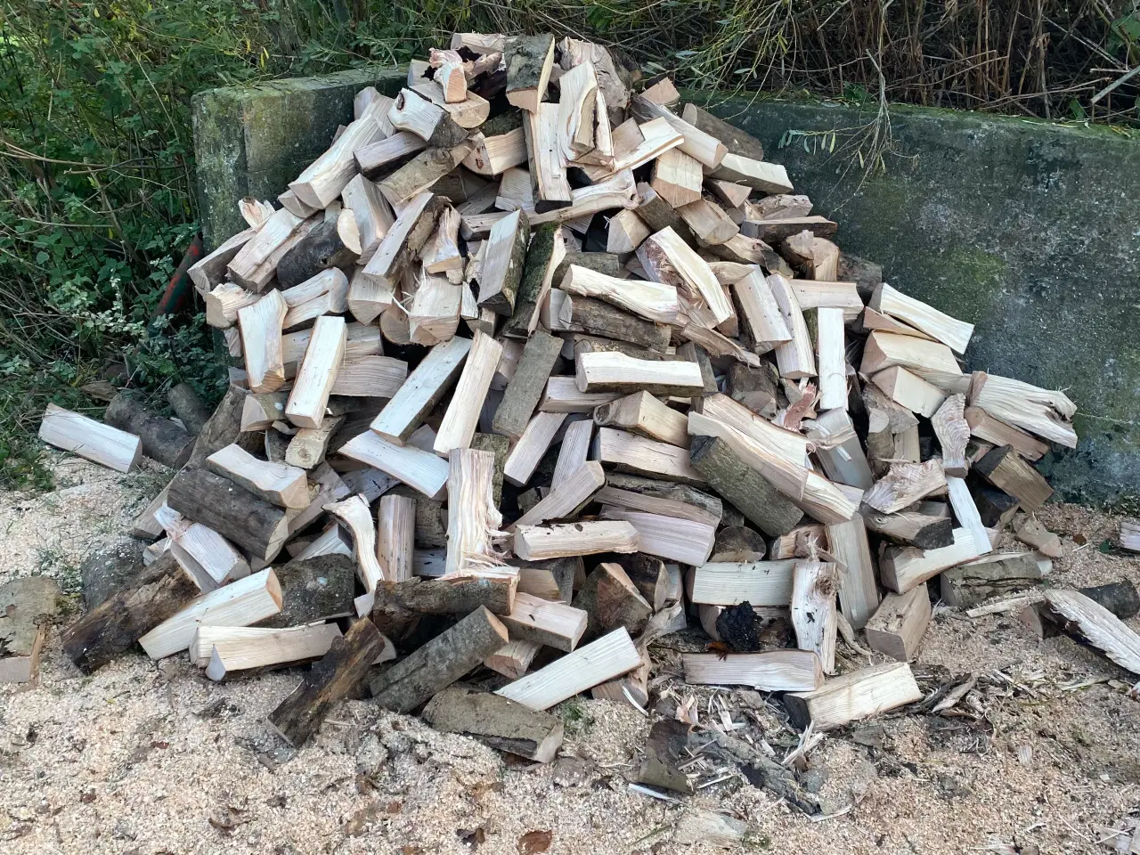 Billede 2 - Brænde aske træ 
