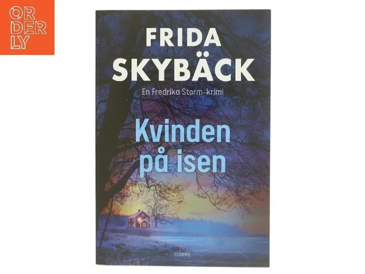 Billede 1 - Kvinden på isen af Frida Skyb&#228;ck (f. 1980) (Bog)
