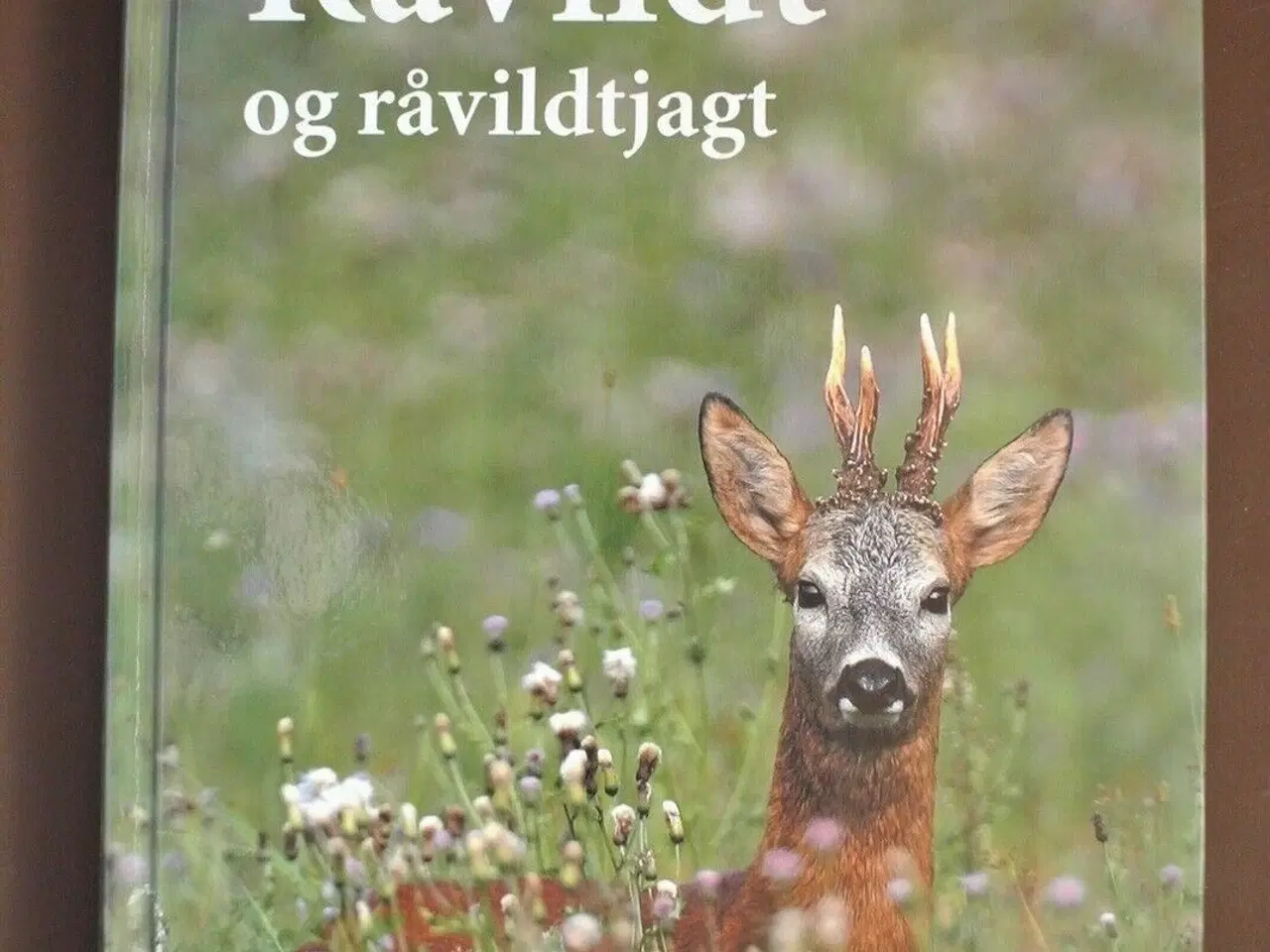 Billede 1 - råvildt og råvildtjagt, af henning kørvel, emne: j