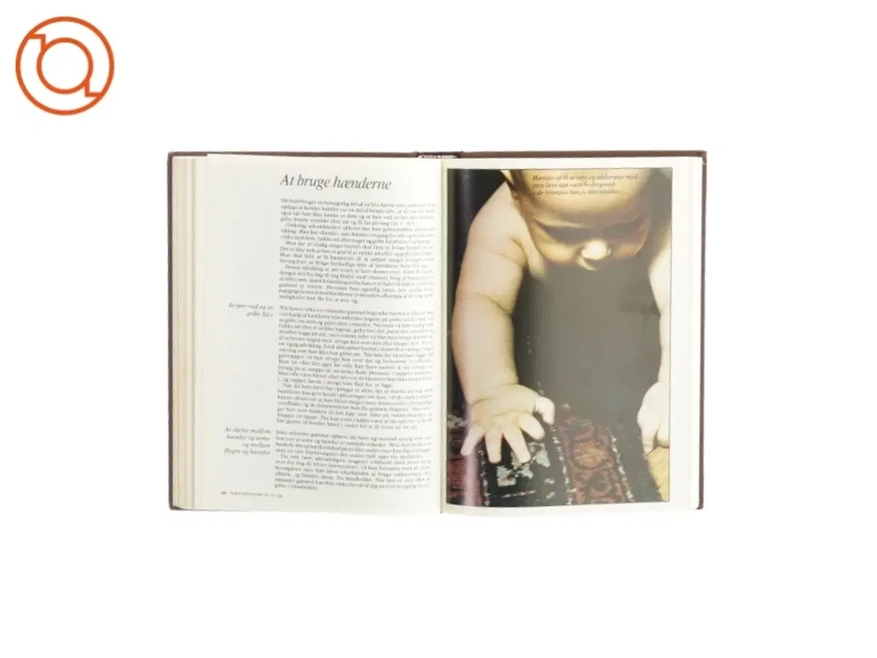 Billede 3 - Vores barnaf Penelope Leach fra Bog