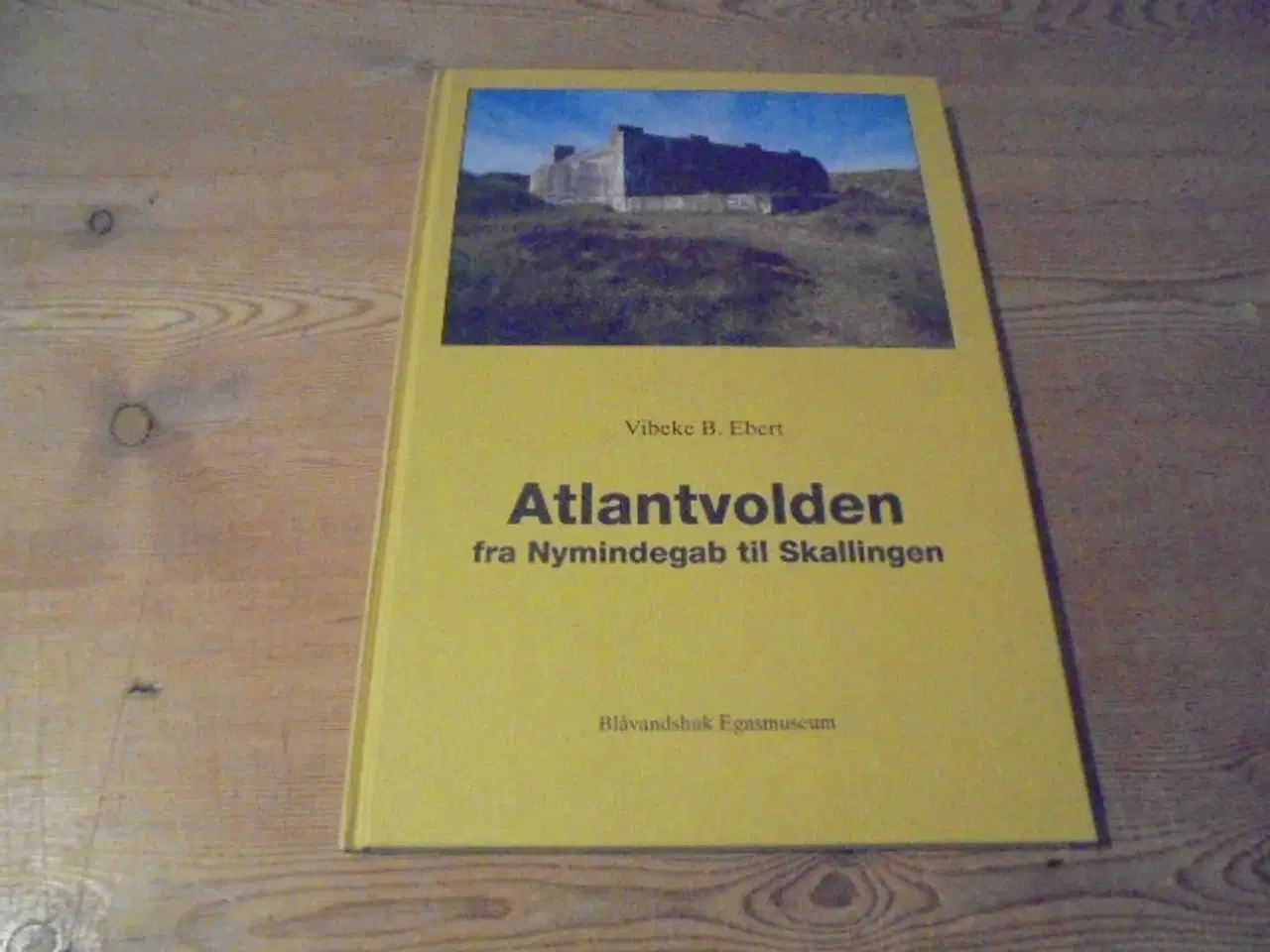 Billede 1 - Atlantvolden fra Nymindegab til Skallingen