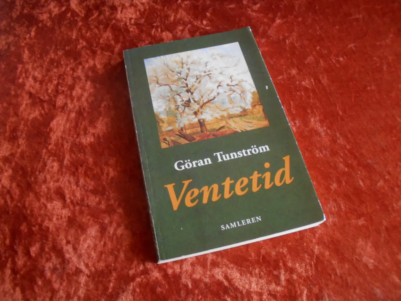 Billede 1 - Ventetid, Göran Tunström