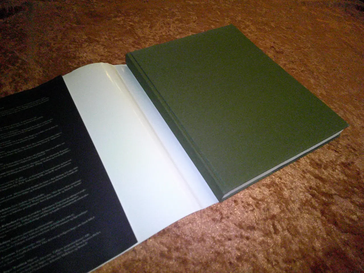 Billede 2 - Landet, vandet og broen, Karsten Holmegård,