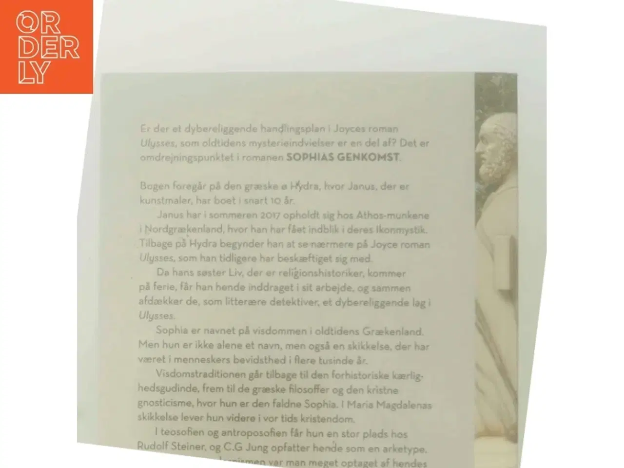 Billede 3 - Sophias genkomst : visdommen i James Joyces roman Ulysses af Susanne Varming (Bog)