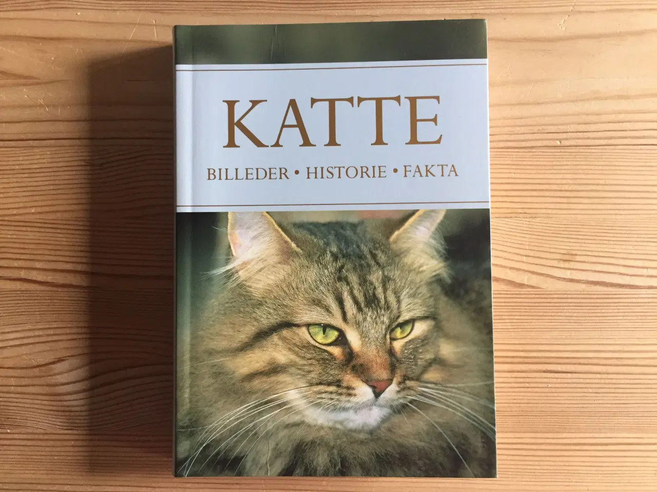 Billede 1 - Bogen KATTE