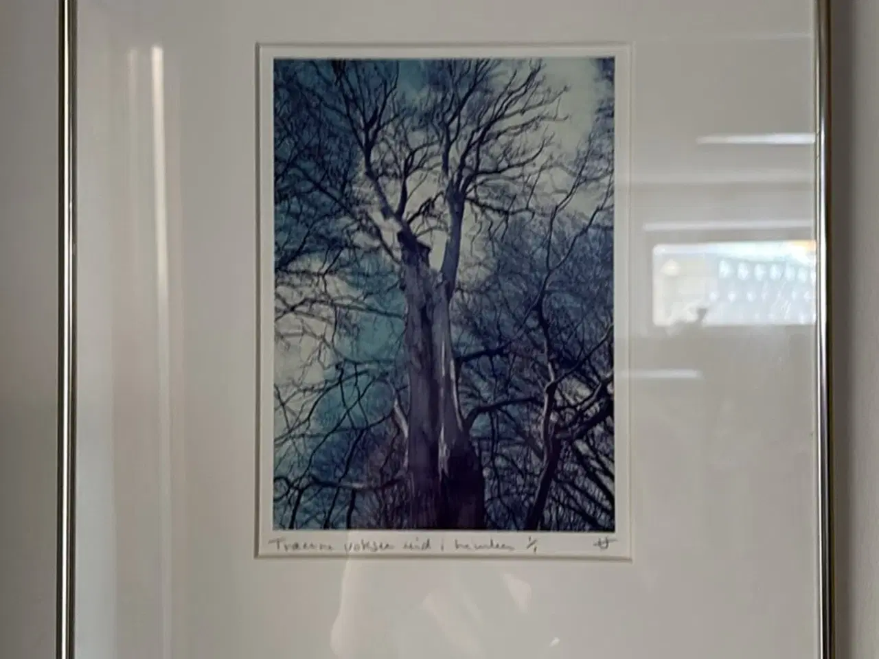 Billede 4 - Billeder 