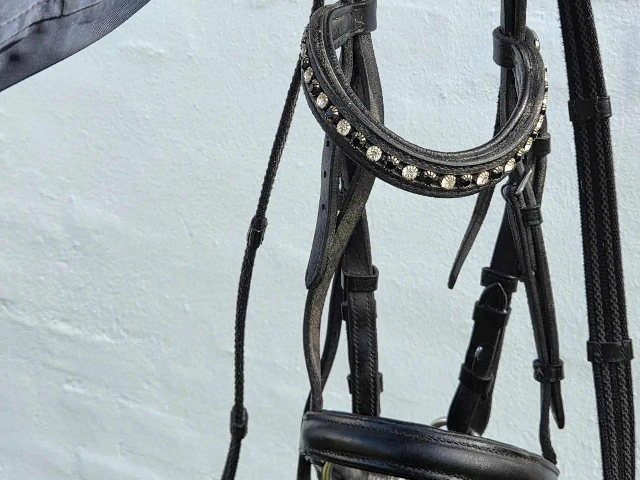 Billede 1 - Pæn trense til shetlænder 