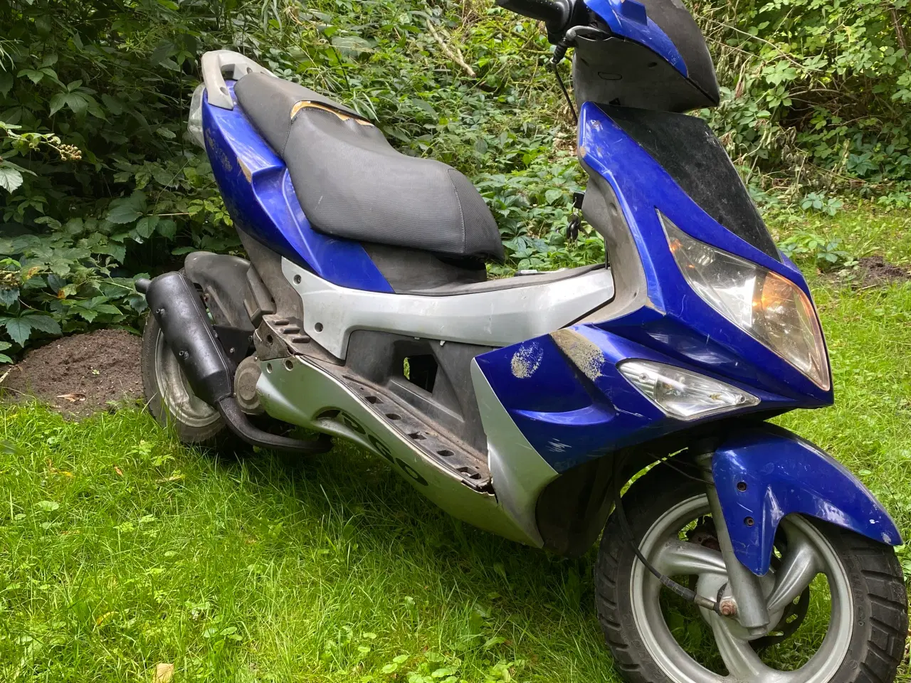 Billede 2 - PGO G-MAX