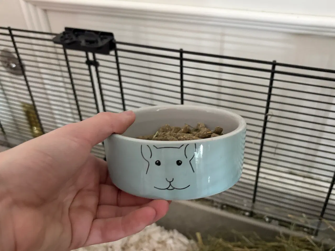 Billede 7 - To Han marsvin og tilbehør 