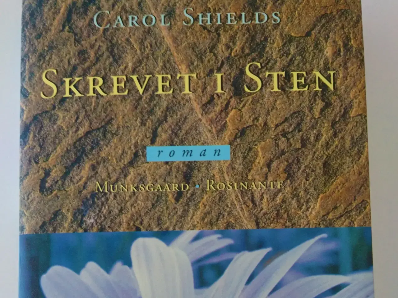 Billede 1 - Skrevet i sten. Af Carol Shields