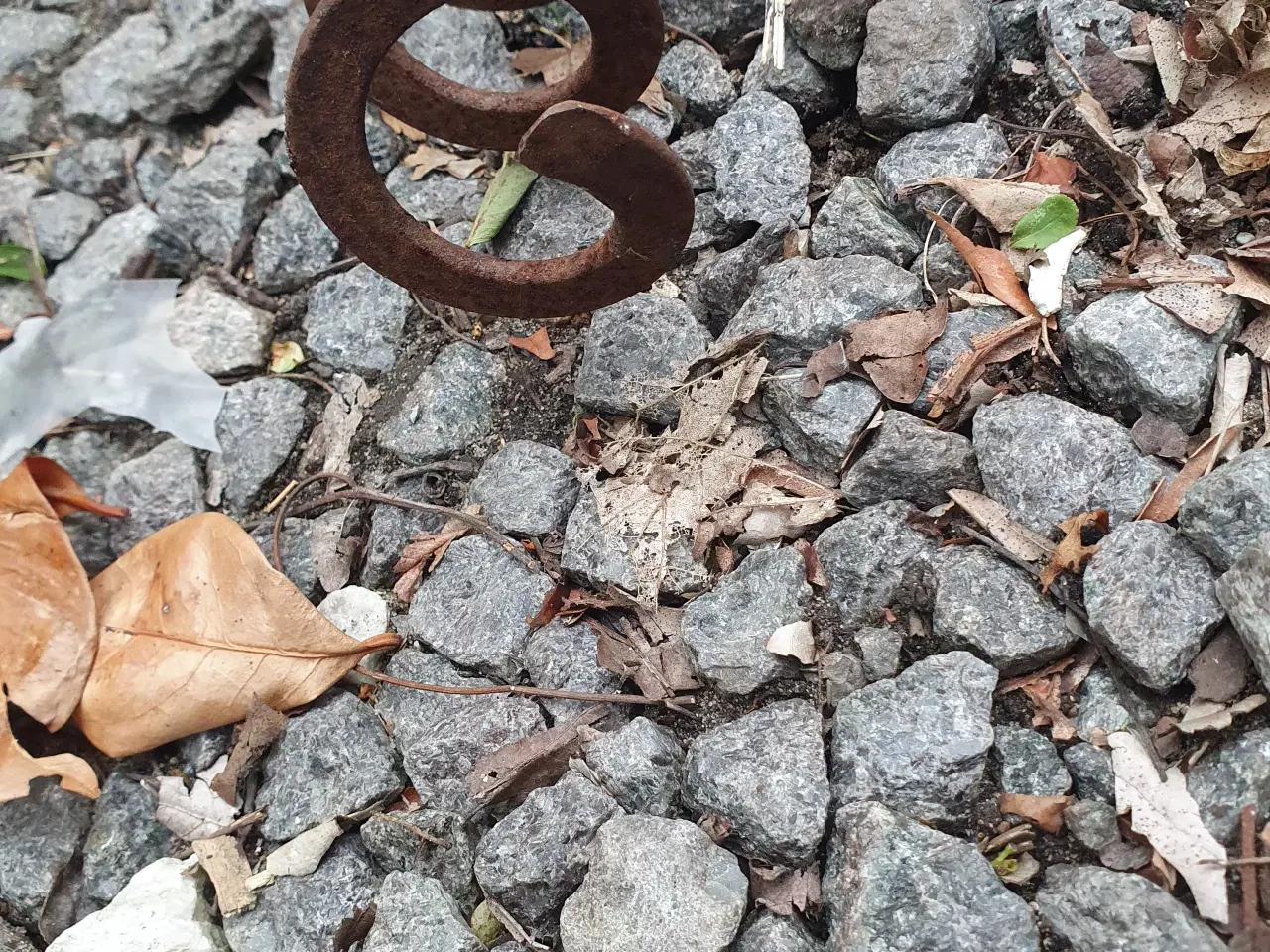 Billede 2 - Spiral 
