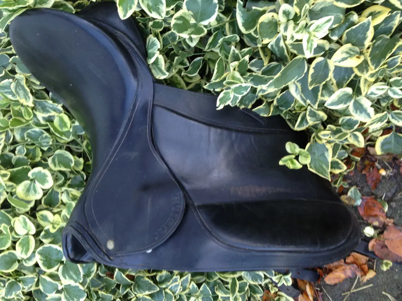 Billede 1 - 17" Hubertus Jubillee