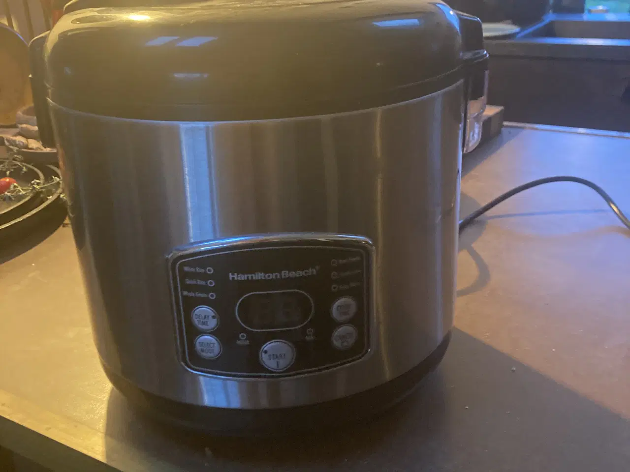 Billede 1 - Hamilton riskoger