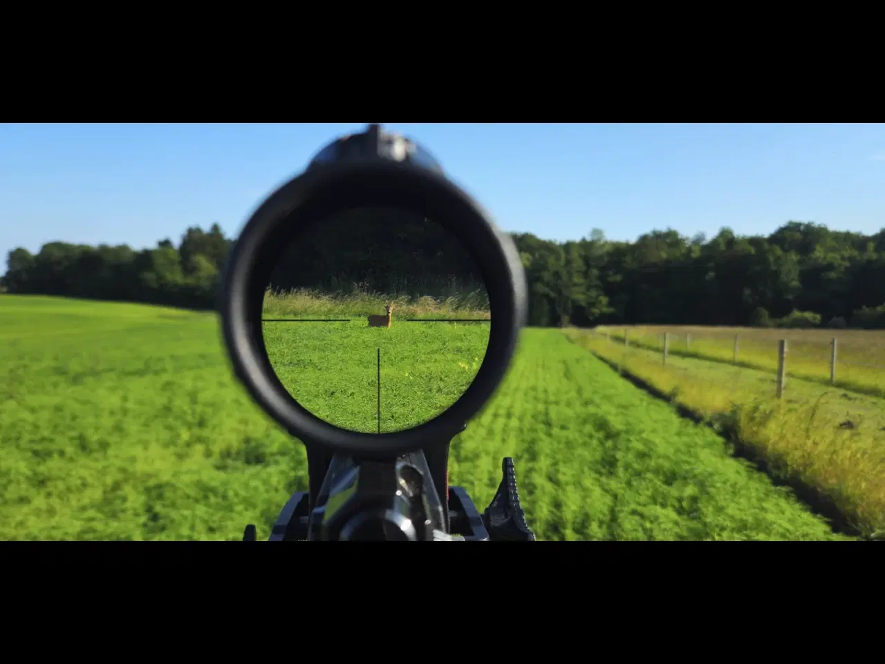 Billede 9 - Schultz og Larsen classic dl 308 Win