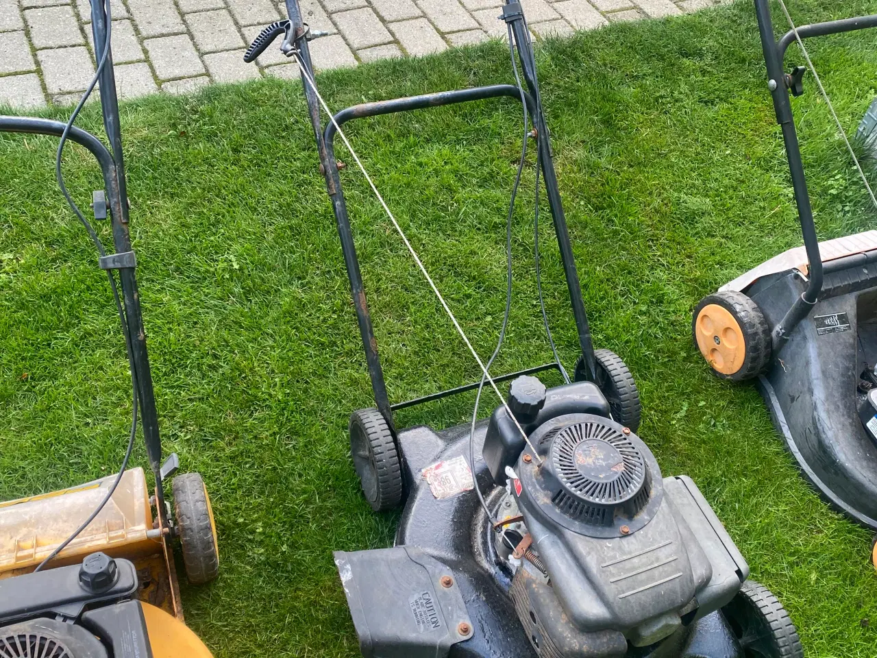 Billede 8 - Rotor plæneklipper 