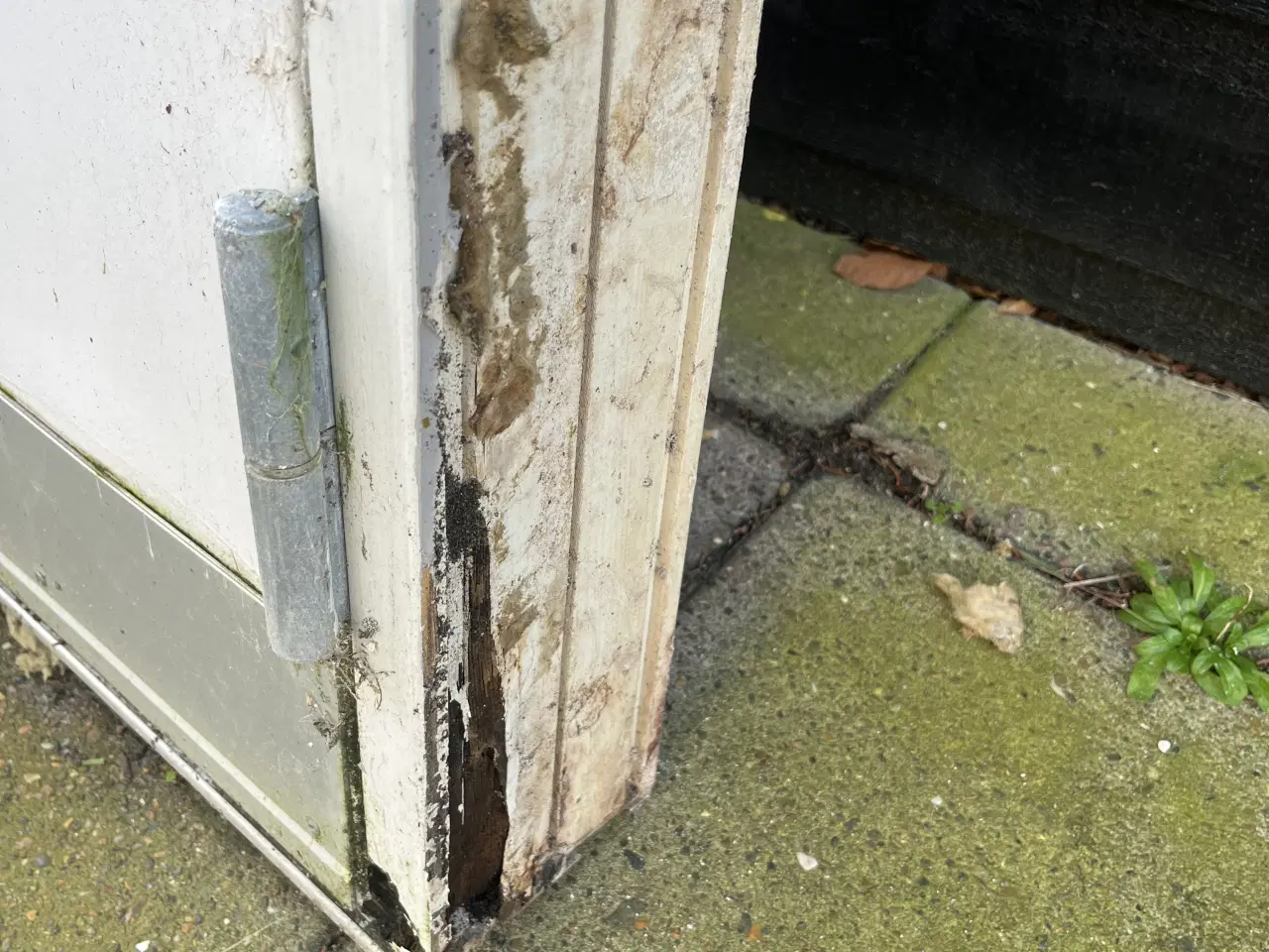 Billede 3 - Hoveddør med karm 198 x 79 tre punkt låsepal 