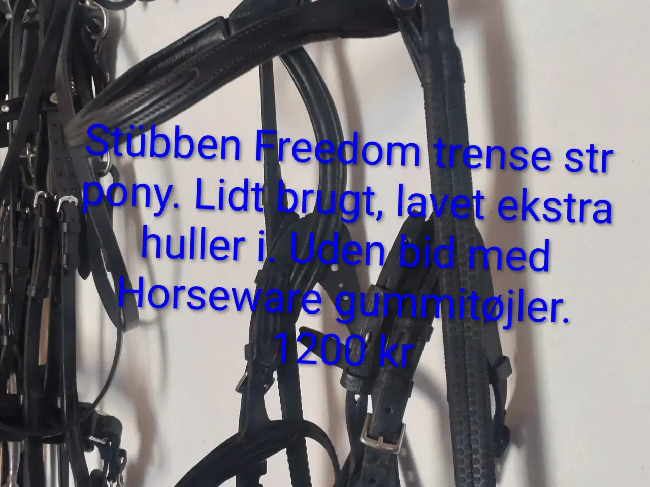 Billede 1 - Flere trenser, kandar og bid