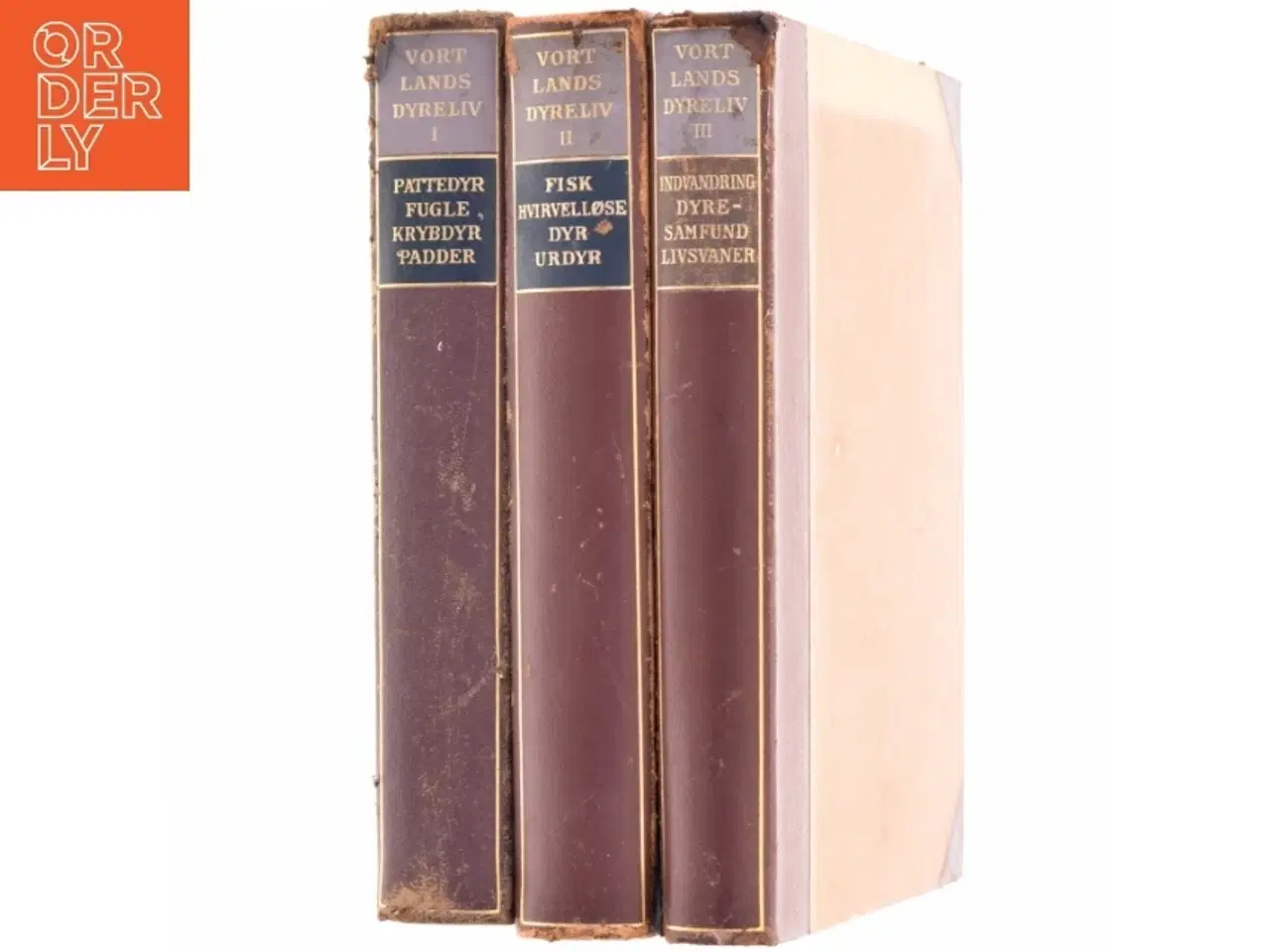 Billede 3 - Vort lands dyreliv 1-3