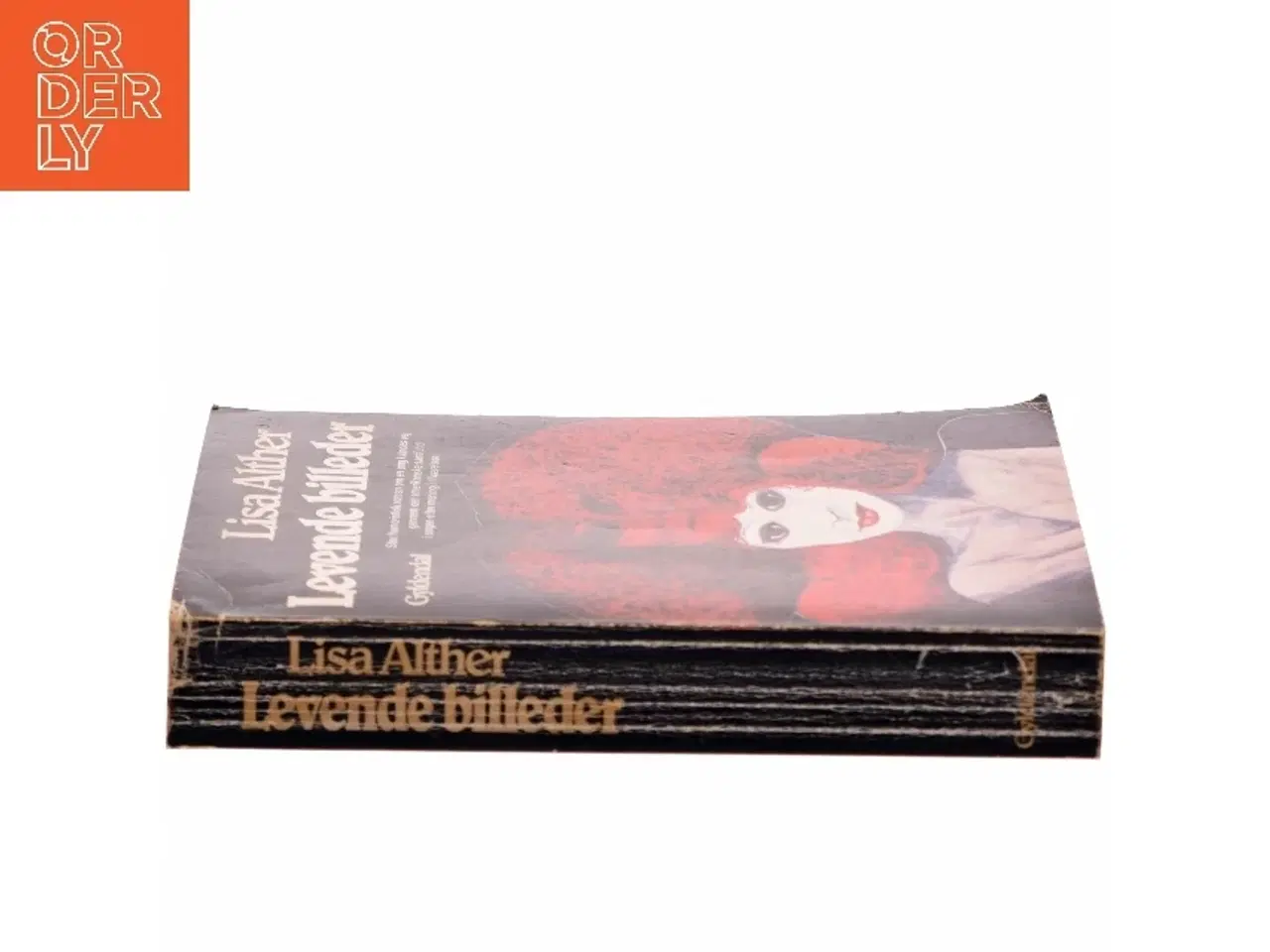 Billede 2 - Levende billeder af Lisa Alther (Bog)