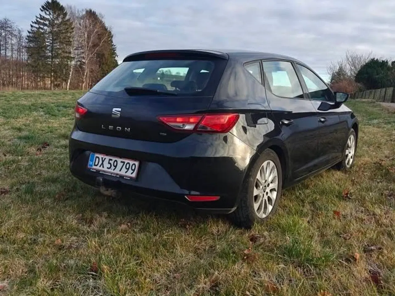 Billede 5 - SEAT Leon med massere af kræfter og komfort