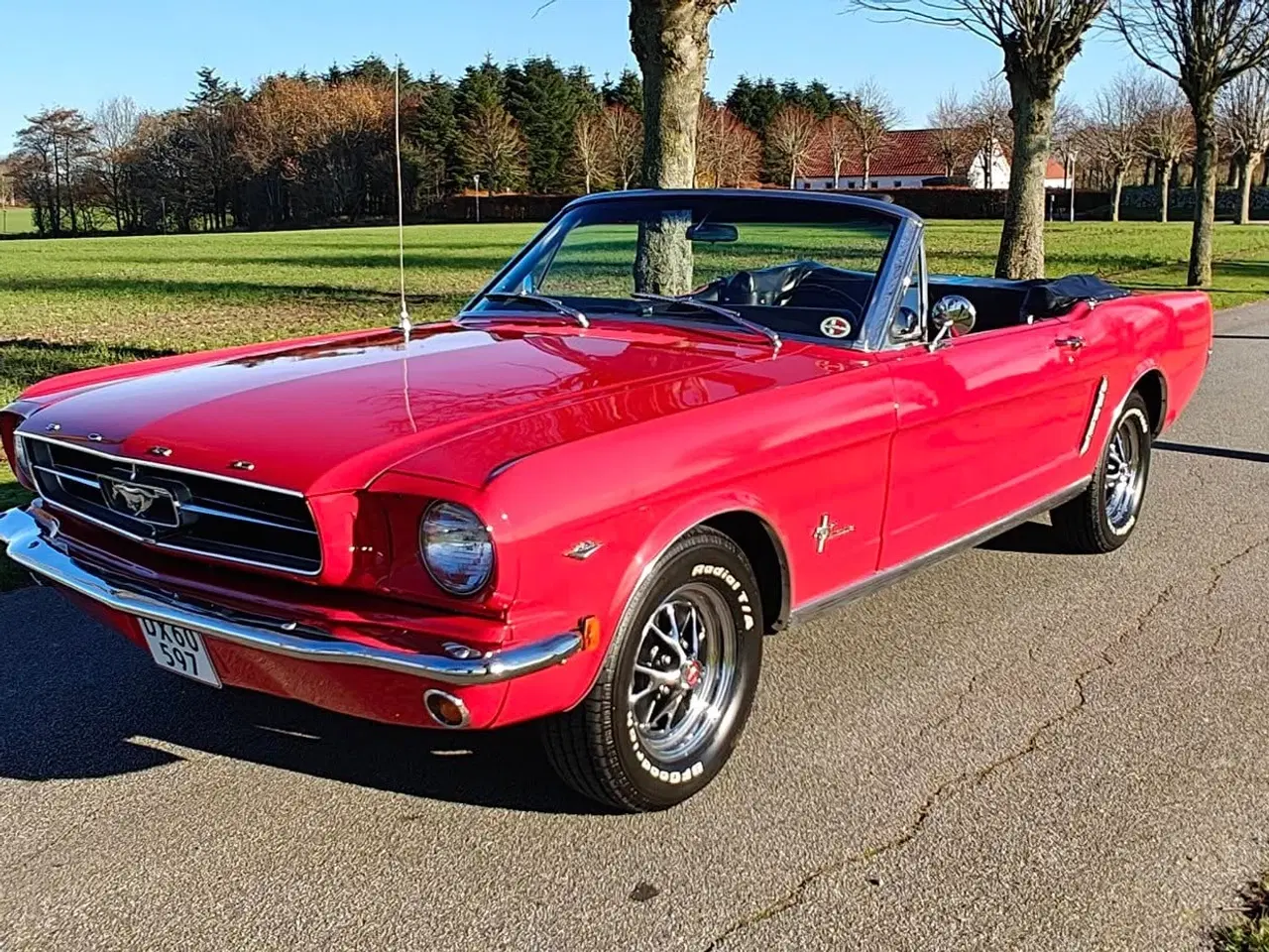 Billede 10 - FORD MUSTANG V8 4,7 CONVERTIBLE